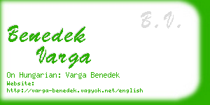 benedek varga business card